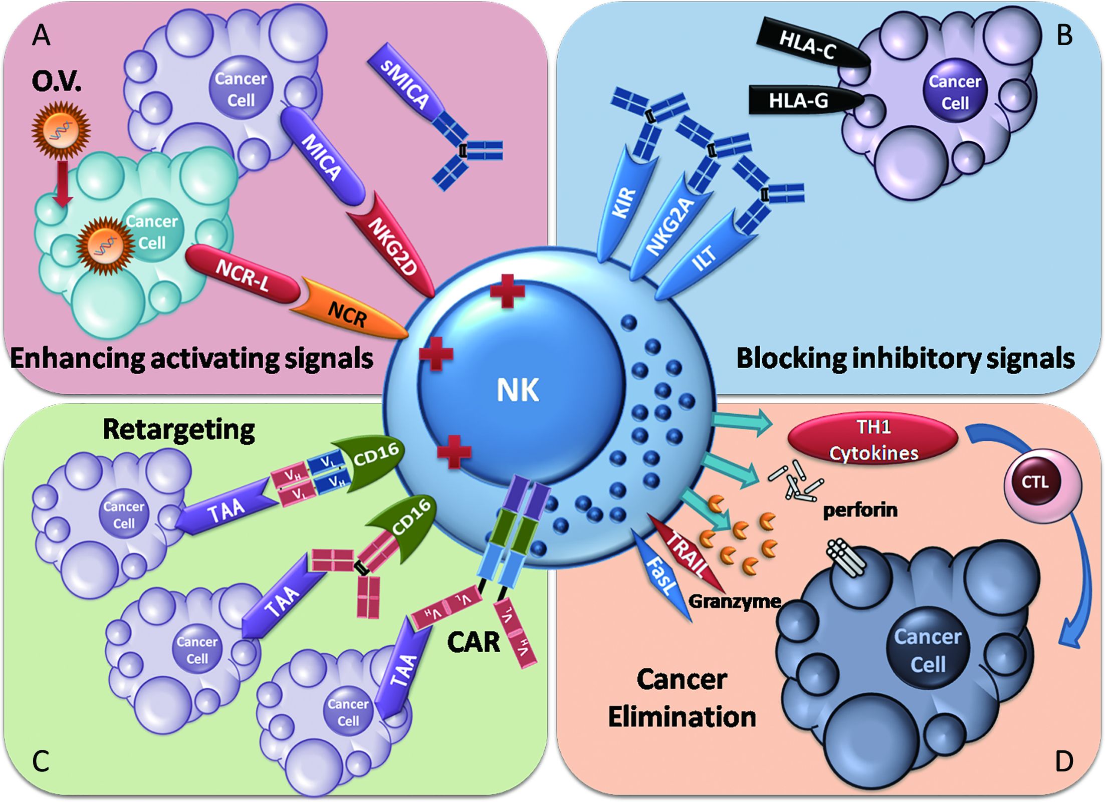 Tumor Immunotherapy New Aspects Of Natural Killer Cells Chinese